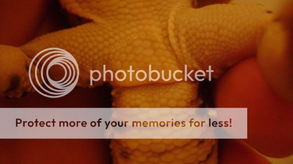 AnalShot003.jpg