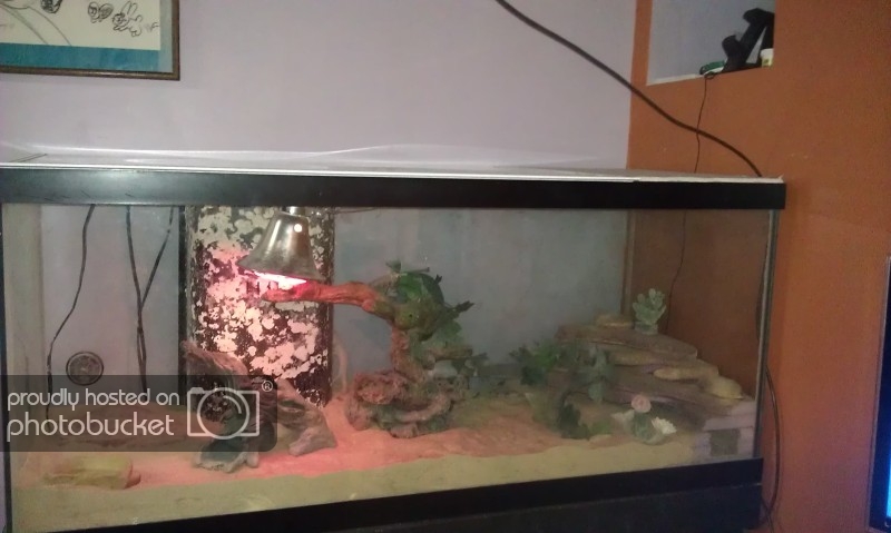 IMAG0105.jpg