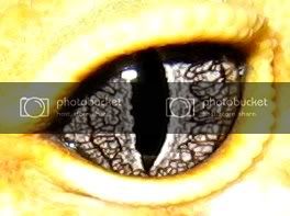 IMG_2846.jpg