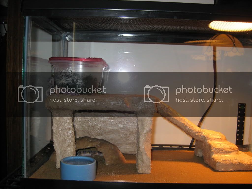 May009.jpg