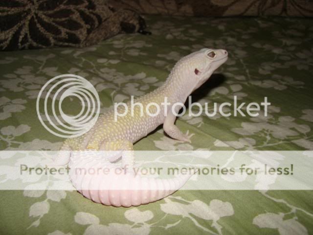 DSC00849.jpg