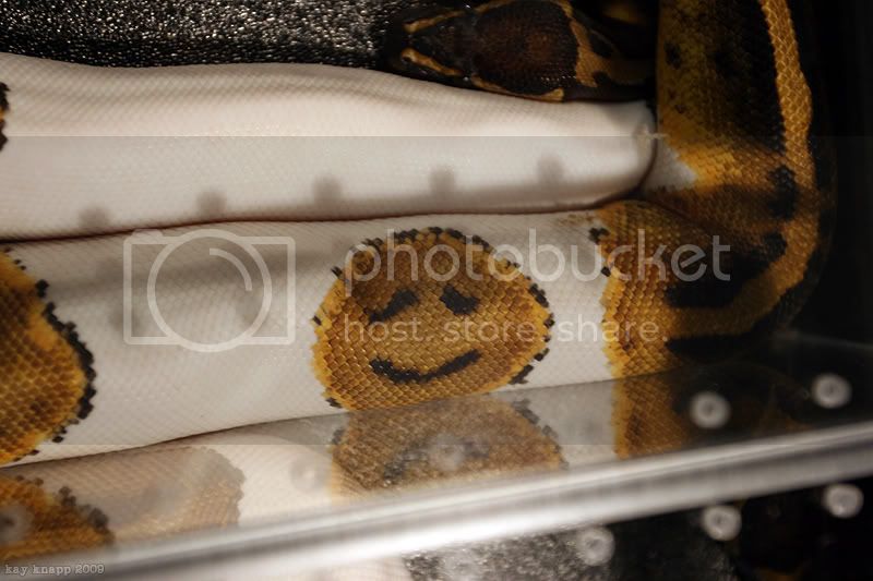 repticon10.jpg