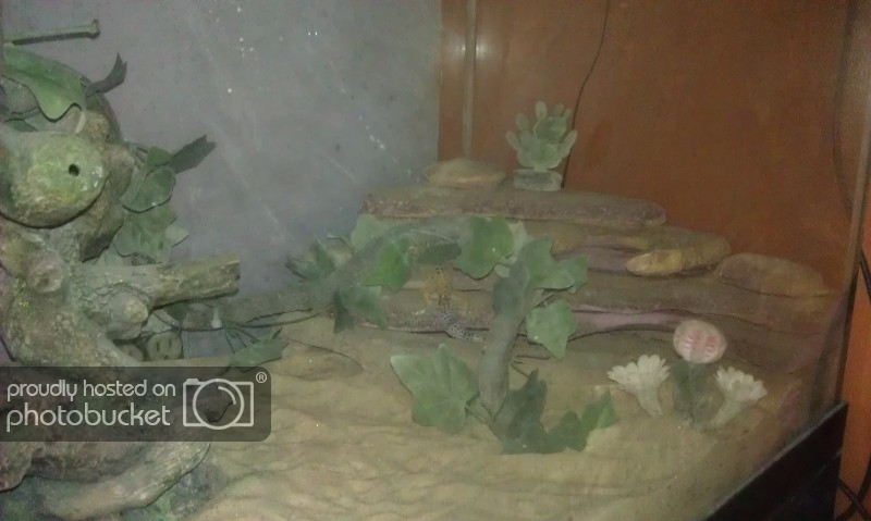 IMAG0106.jpg