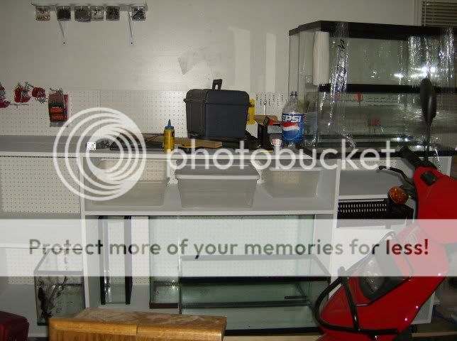 HPIM0262.jpg