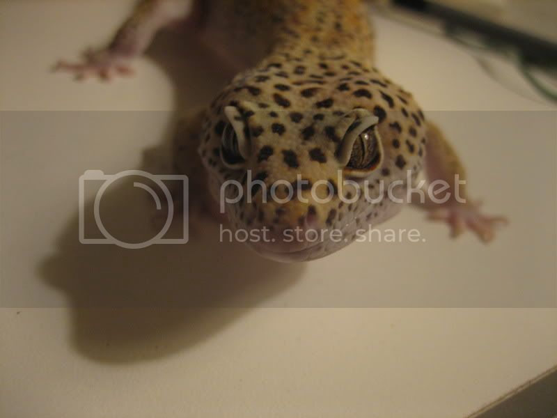 IMG_2183.jpg