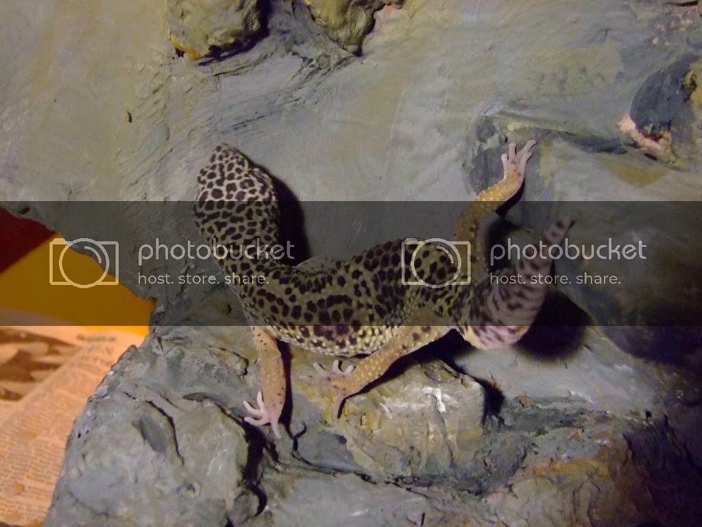 DSCF6586.jpg