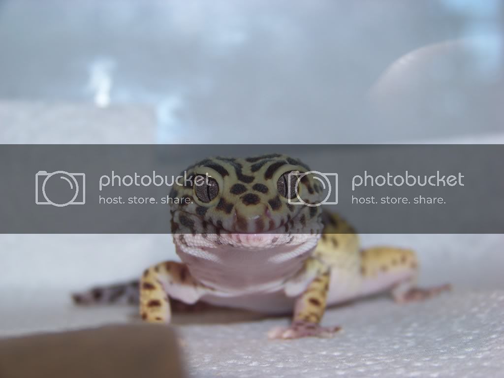 January.jpg