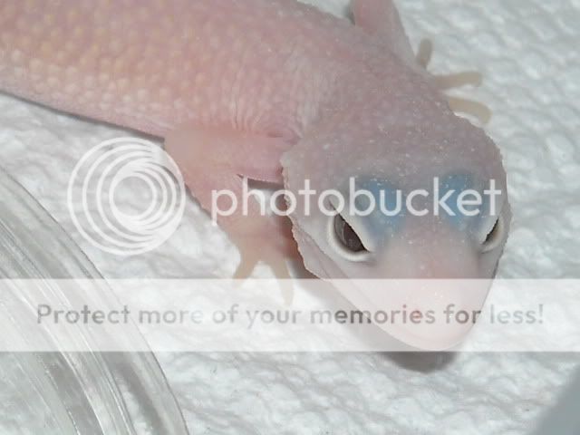 DSCN2675.jpg
