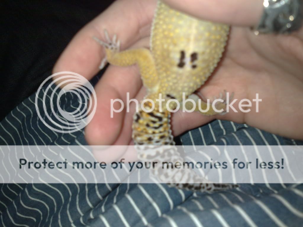 23012009034.jpg