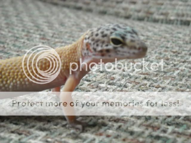 DSCN6909.jpg