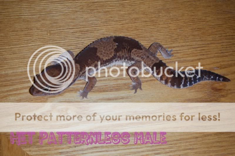 DSCF1741.jpg
