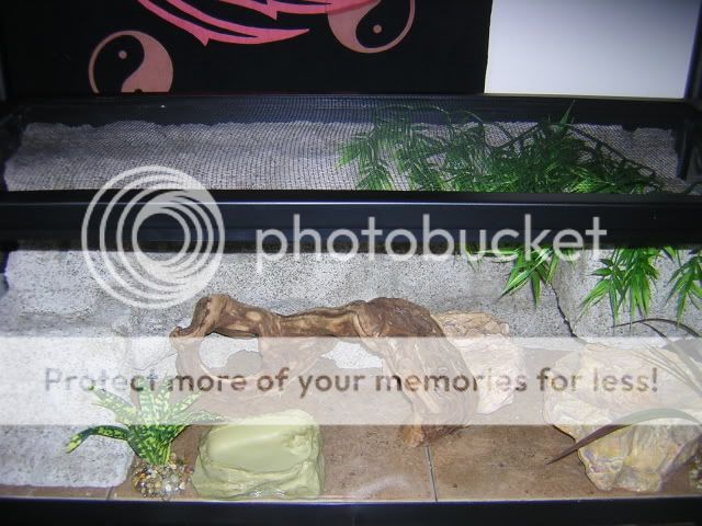 DSCN1529.jpg