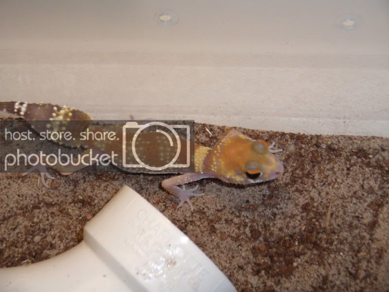 GEDC1058.jpg