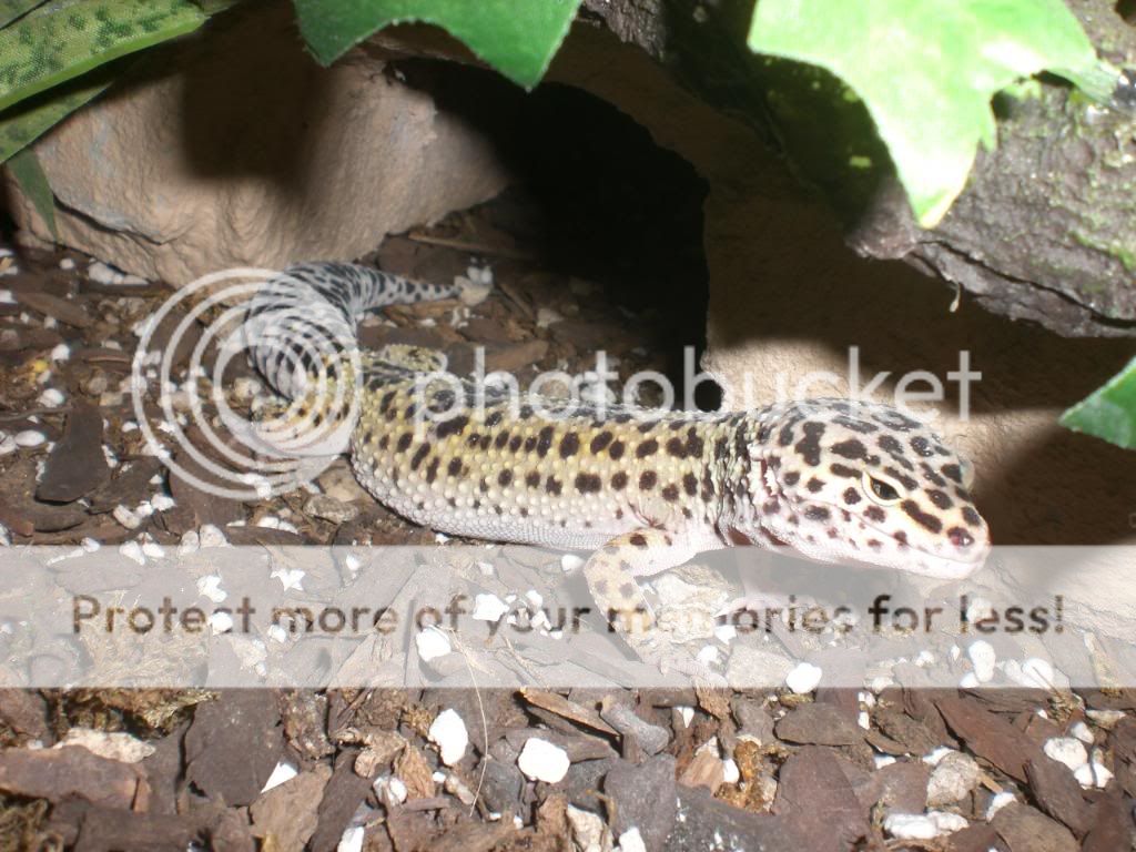 junepix026.jpg