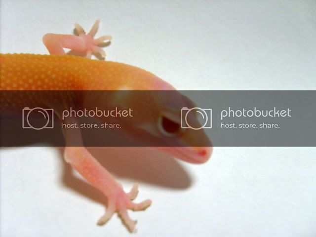 S5008998.jpg