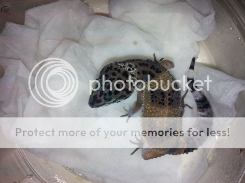 20121108_224355.jpg