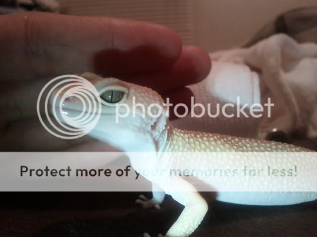 IMG_20111127_195036.jpg