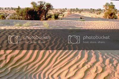 sand.jpg