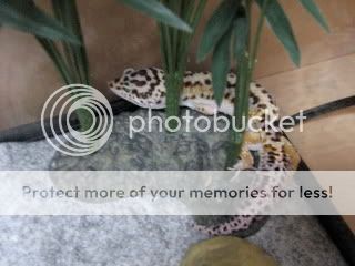 IMG_1203.jpg