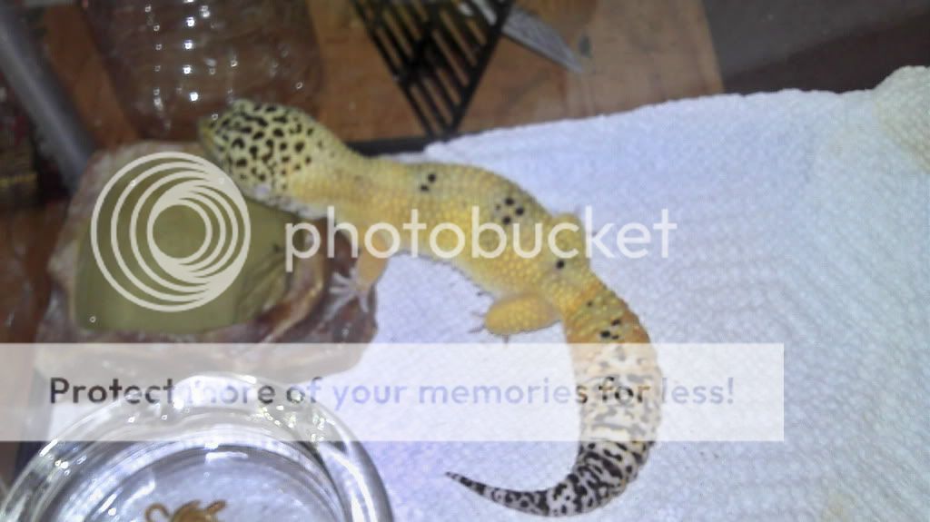 2012-07-08_22-19-40_627_KPT.jpg