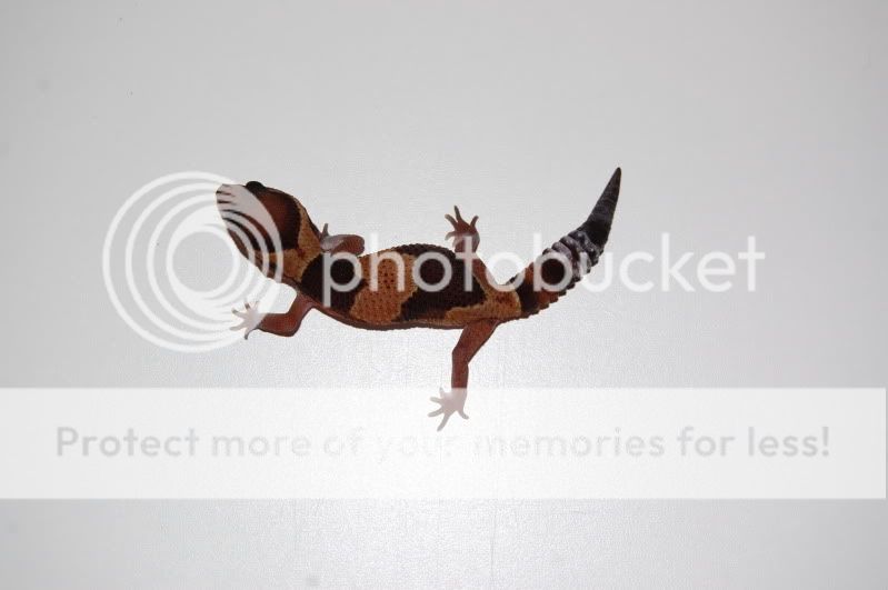 DSC_0465.jpg
