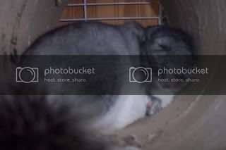 100_1656.jpg