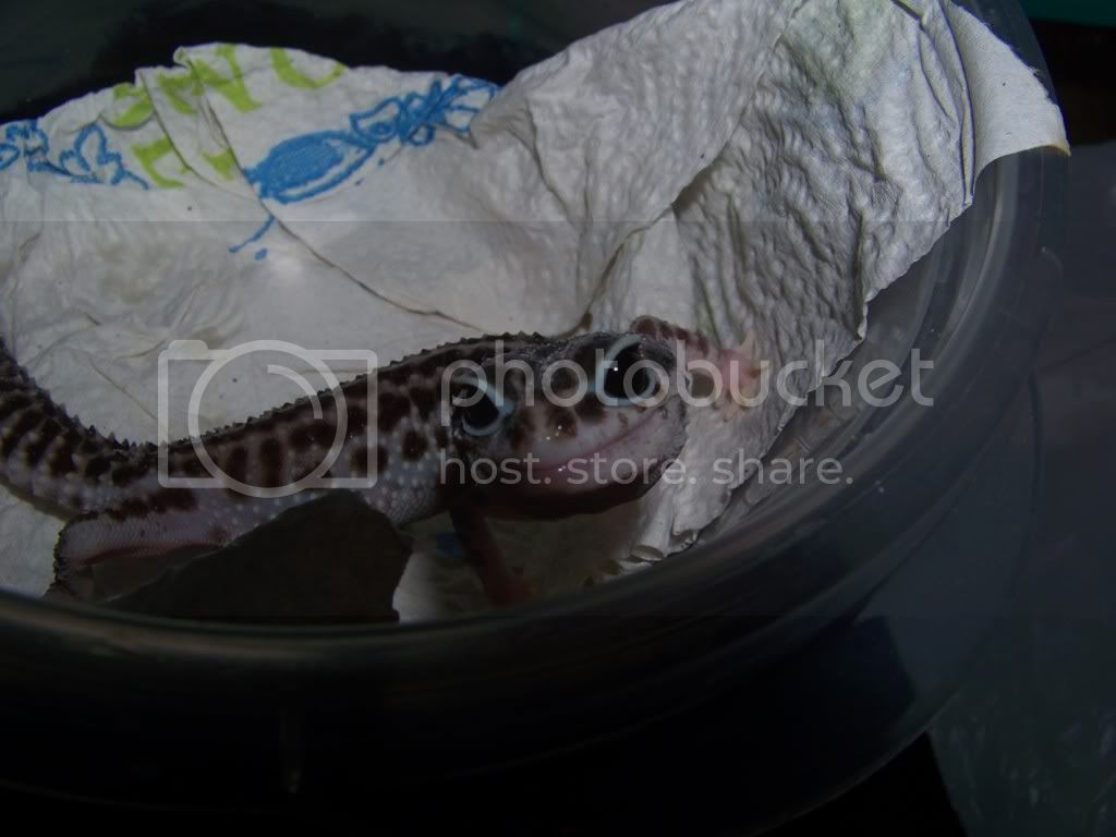 006-6.jpg