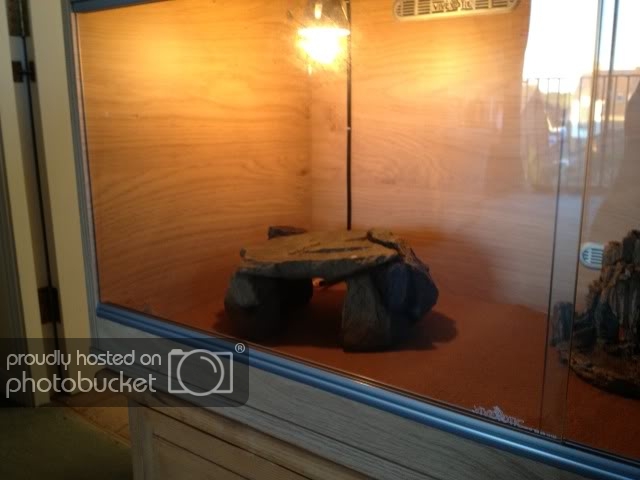 photo-6.jpg