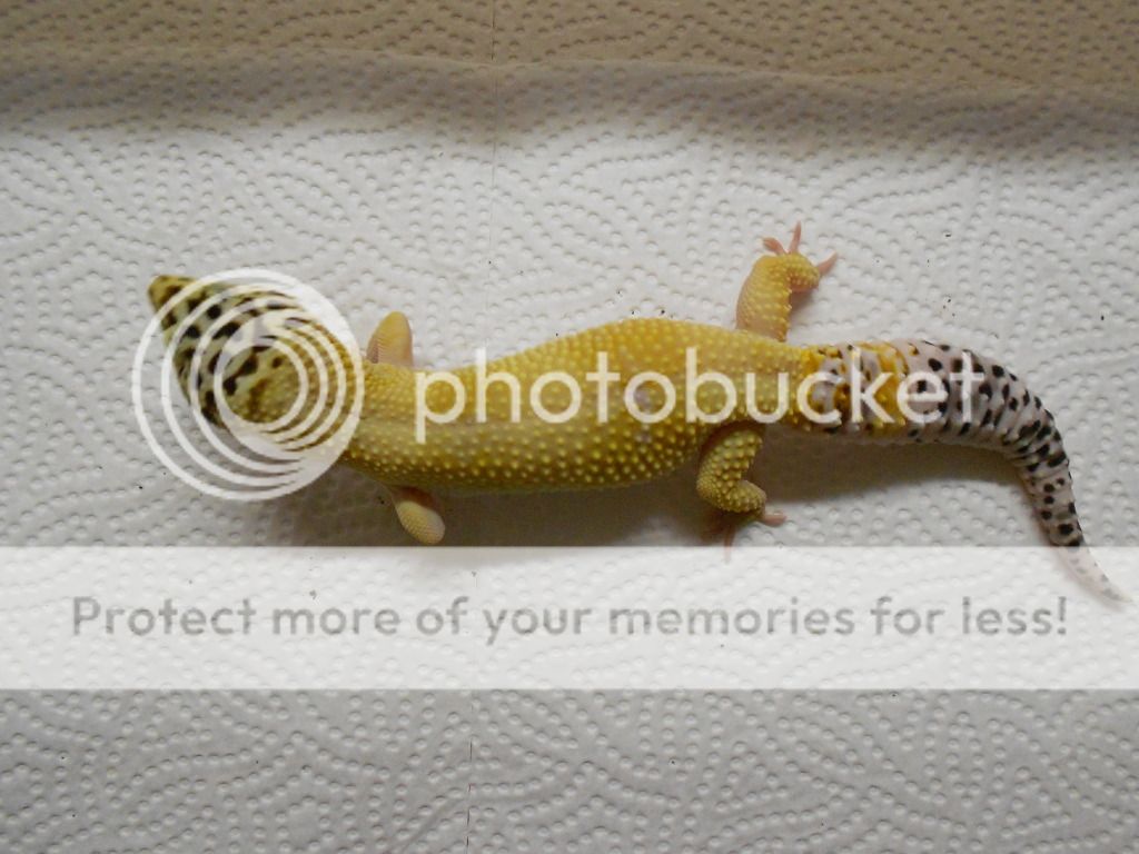 DSCN3872.jpg