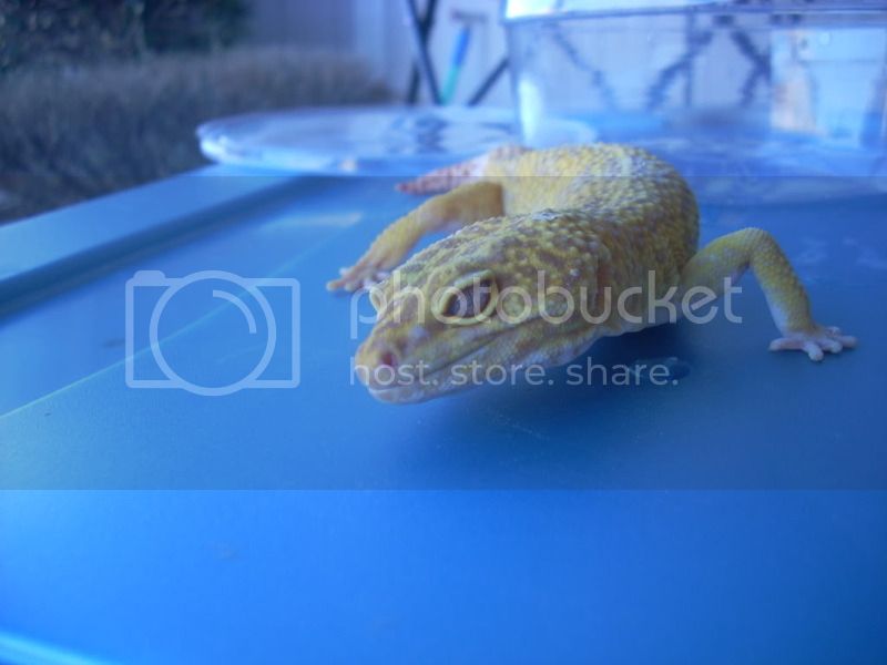 DSCN0301.jpg