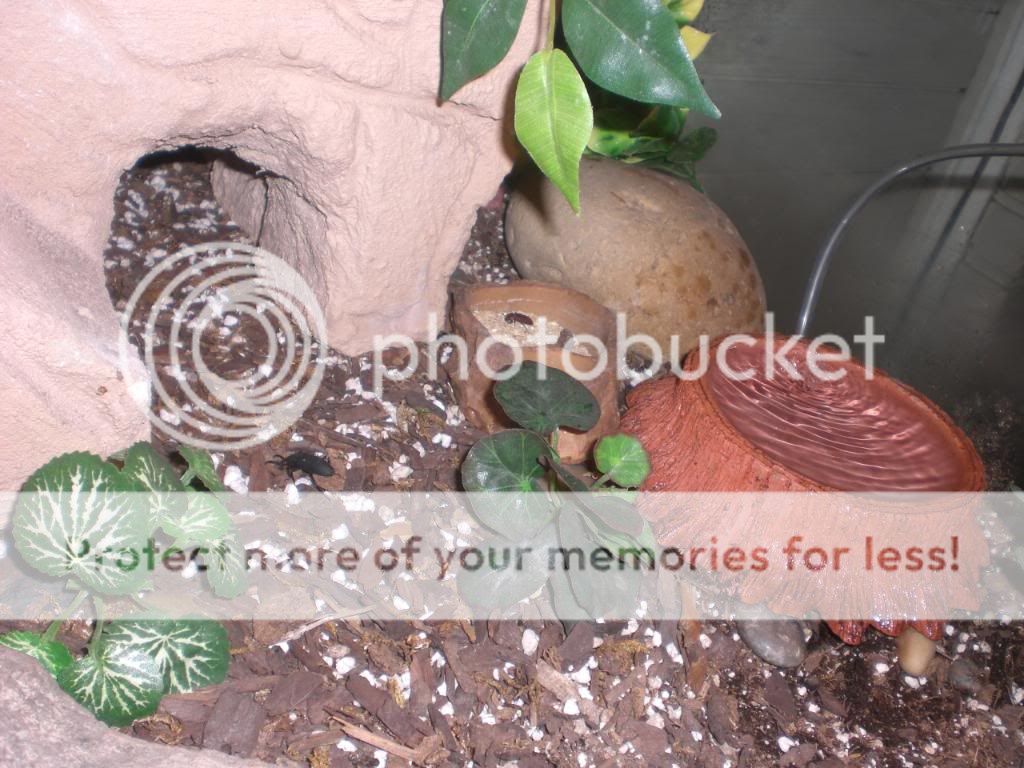 junepix017.jpg