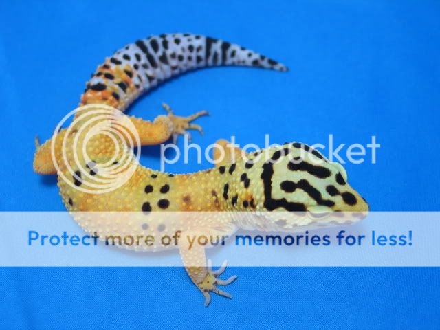 IMG_5146.jpg