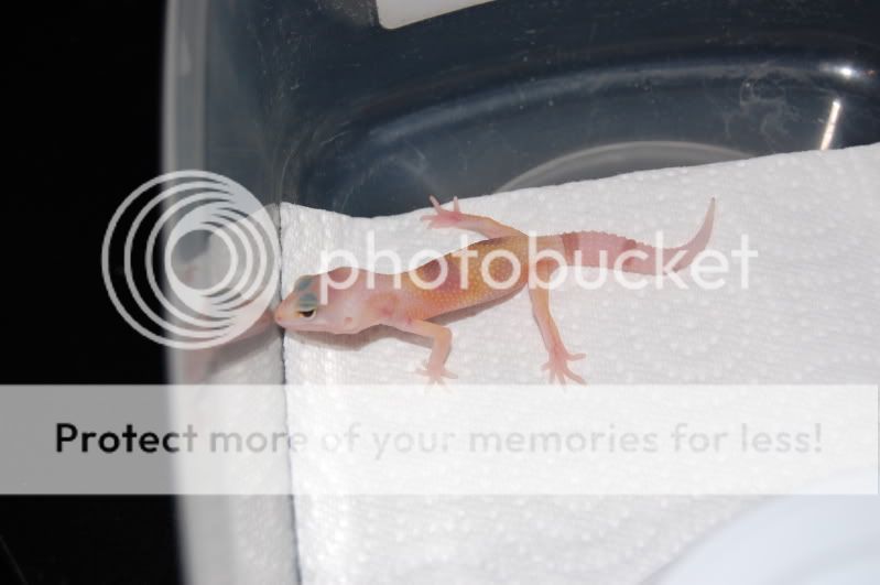 DSC_1290.jpg