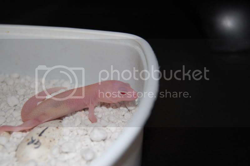 DSC_1203.jpg