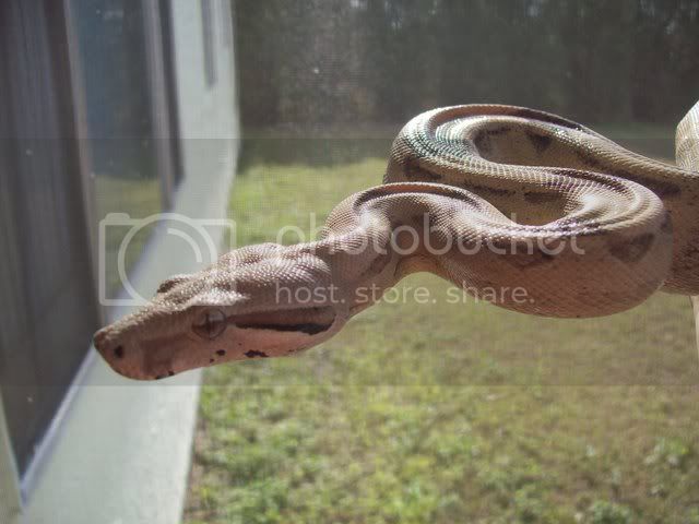 NewEdenpix003.jpg