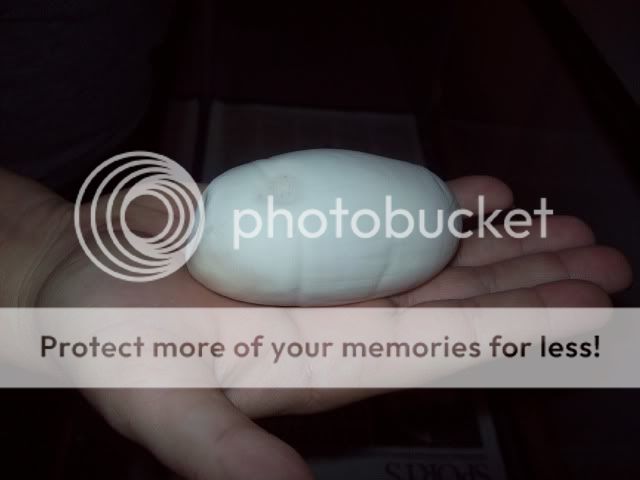 Eggs034.jpg