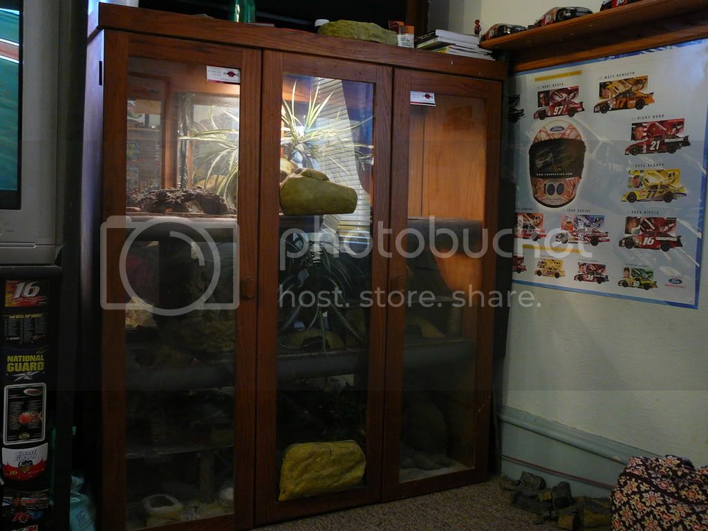 geckocondo002.jpg