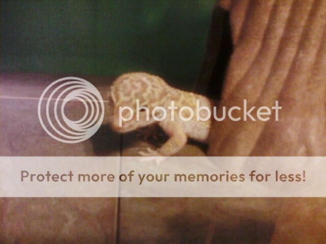 1201121913_2.jpg