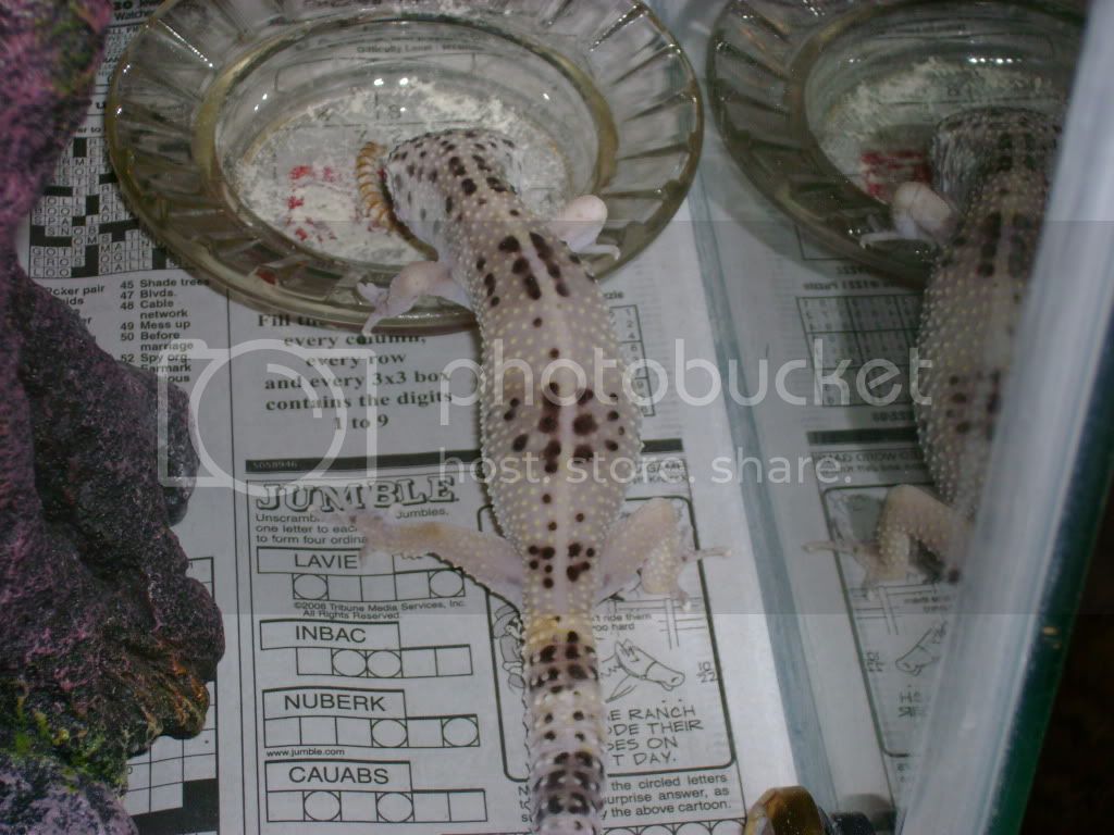 005-3.jpg
