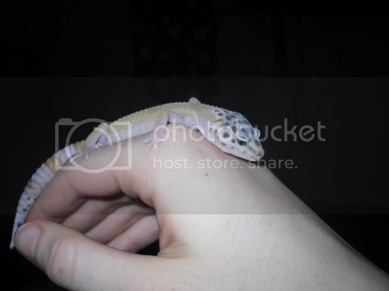 SDC11739.jpg