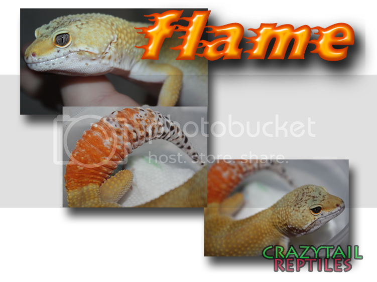 flame-1.png