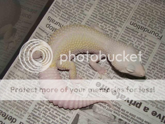 DSC00700.jpg
