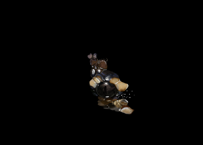 ball_python_wip_3_by_fuzzybuttbunny-d51yr17.png