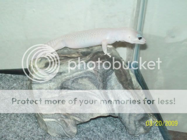 100_1400.jpg