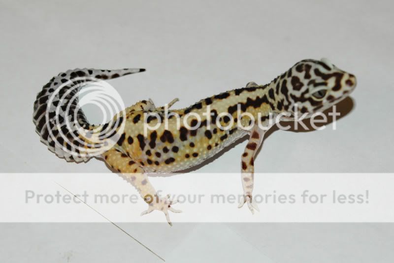 DCC_1499.jpg