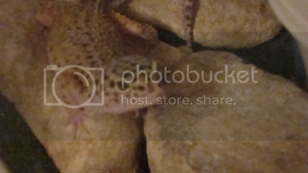 DSC00877.jpg