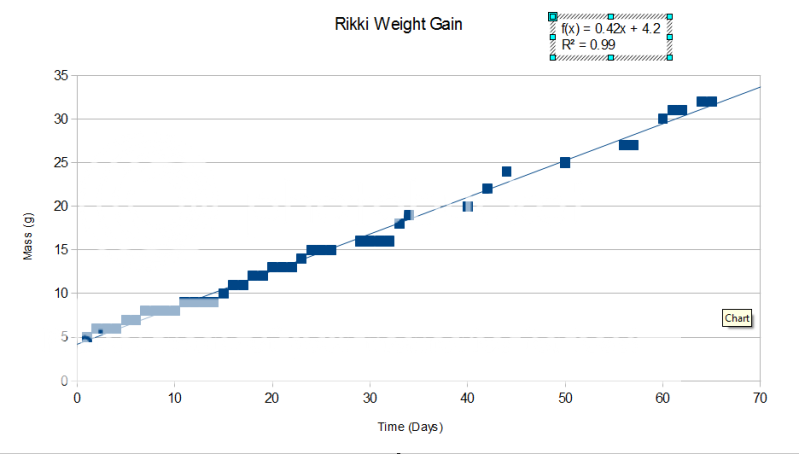 RikkiWeightDevelopmentExample.png