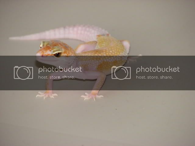 img_4855.jpg