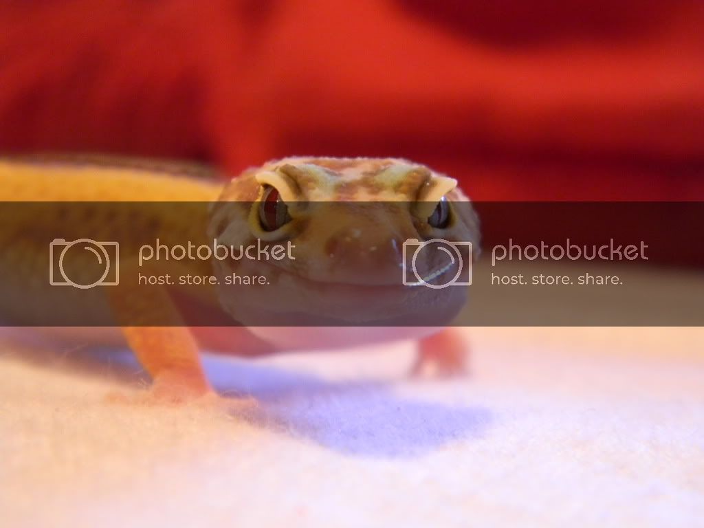 DSCN0814.jpg