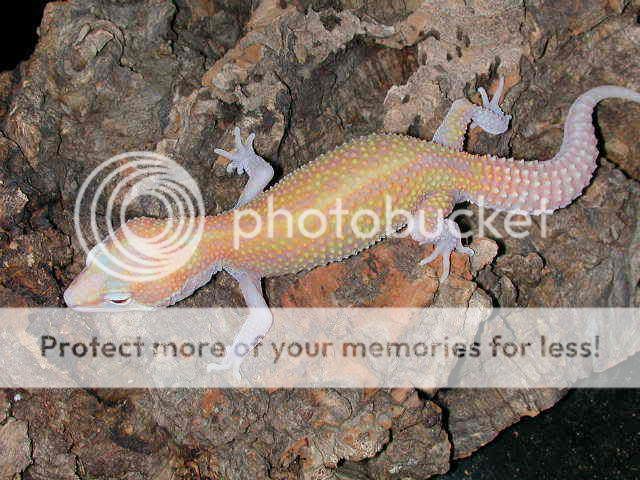 DSCN7415.jpg